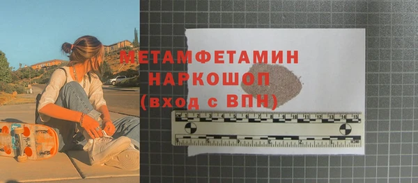 прущие грибы Медвежьегорск