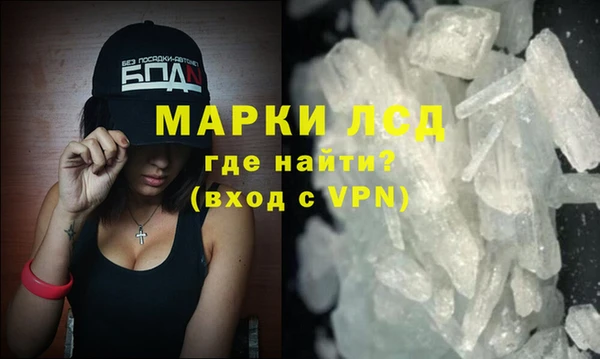 прущие грибы Медвежьегорск