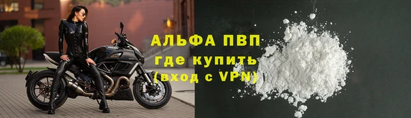 прущие грибы Медвежьегорск