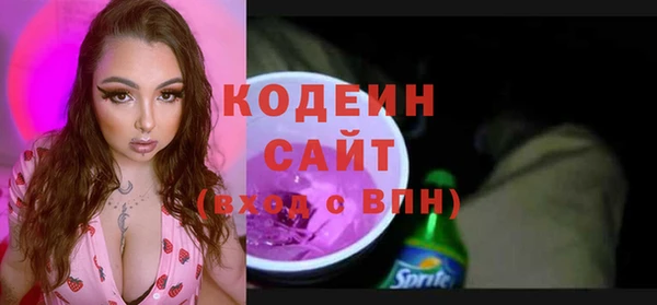 прущие грибы Медвежьегорск
