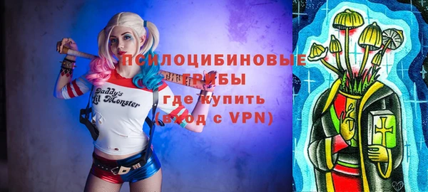 прущие грибы Медвежьегорск