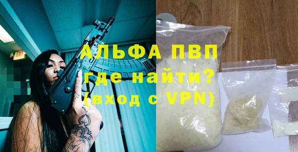 прущие грибы Медвежьегорск