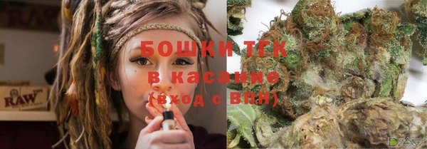 прущие грибы Медвежьегорск