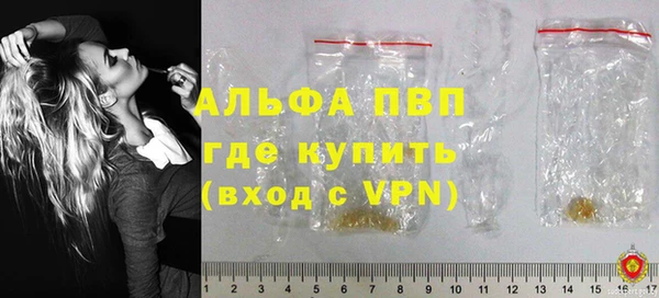 прущие грибы Медвежьегорск