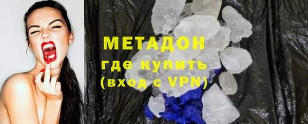 прущие грибы Медвежьегорск
